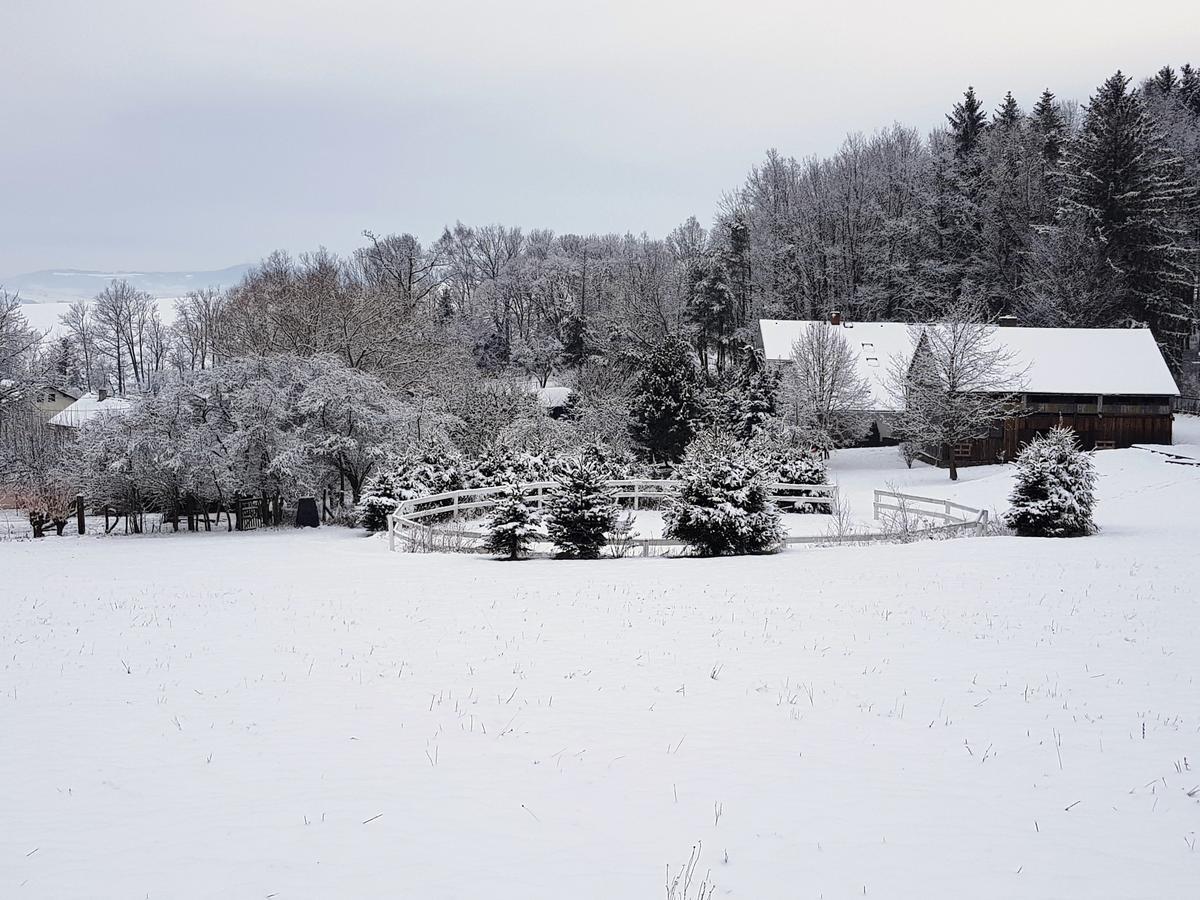 Pension U Sebastiana Hodousice Esterno foto